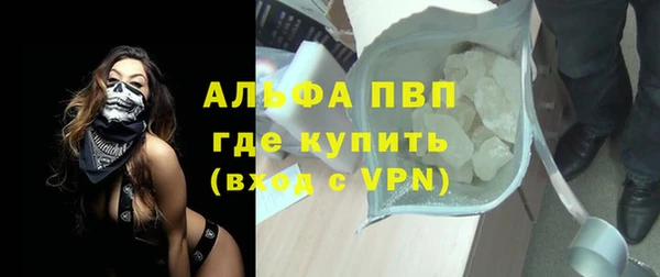 прущие грибы Нефтегорск