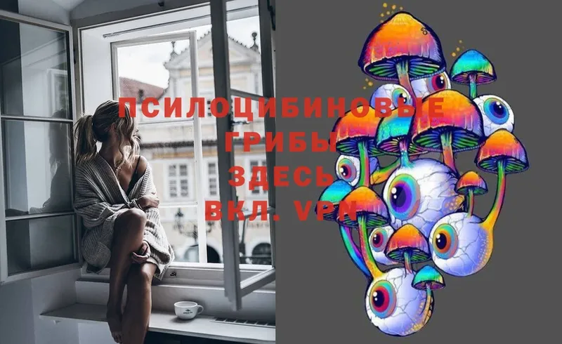 Галлюциногенные грибы Magic Shrooms  Кедровый 