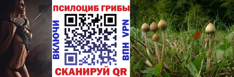 Псилоцибиновые грибы прущие грибы  кракен зеркало  Кедровый 